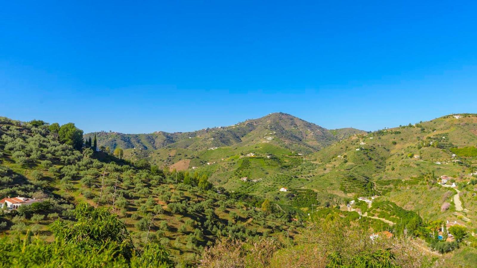 Villa Las Palmeras De Torrox By Ruralidays Luaran gambar
